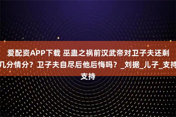 爱配资APP下载 巫蛊之祸前汉武帝对卫子夫还剩几分情分？卫子夫自尽后他后悔吗？_刘据_儿子_支持