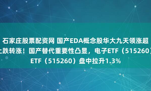 石家庄股票配资网 国产EDA概念股华大九天领涨超5%，闻泰科技止跌转涨！国产替代重要性凸显，电子ETF（515260）盘中拉升1.3%